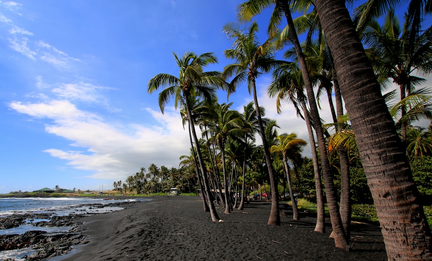 Palm tree lined black sand beach against blue water and clear skies at Punalu'u Beach, Hawaii. 