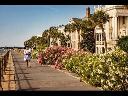 The Battery district lined with spring blooms, Charleston, South Carolina.