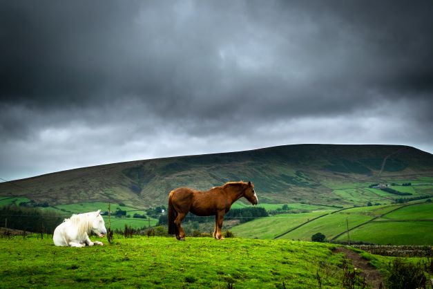 Erie image, Pendle Hill, dark clouds overhead, horses grazing, Lancaster, England.