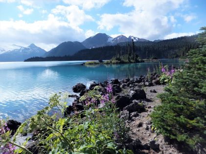 Hiking path with wildflowers along a turquoise blue lake