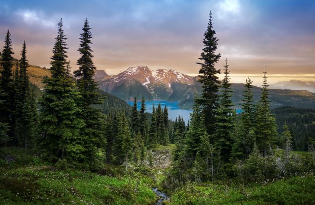 Gorgeous mountain vista with Pine trees a lake and snow capped mountains in the distance, Whistler, Canada. 