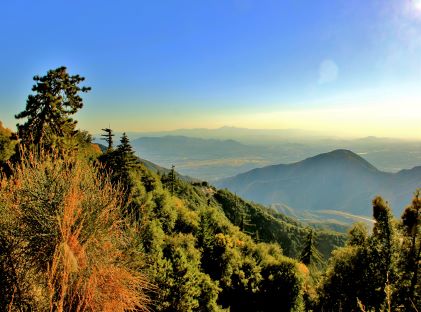 View from the San Bernadino National Forest in California