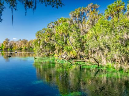 Blue Springs State Park in Orlando, Florida