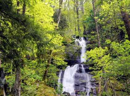 Fern Branch Falls in the Great Smoky Mountains near Gatlinburg, Tennessee