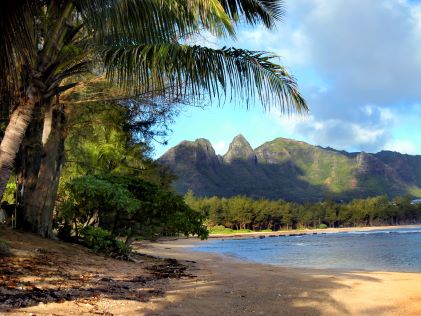 Palm trees by the beach, with a view of the Nounou Mountains forming the Sleeping Giant, on the Eastside of Kaui