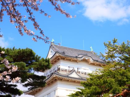 Odawara Castle in Odawara, Japan, near Tokyo