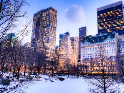 Winter in Central Park in New York City