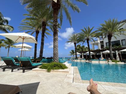 Pool and palm tree at Zemi Beach House in Anguilla