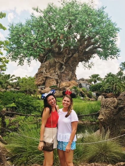 A Hilton Grand Vacations Member at Animal Kingdom at Walt Disney World theme park in Orlando